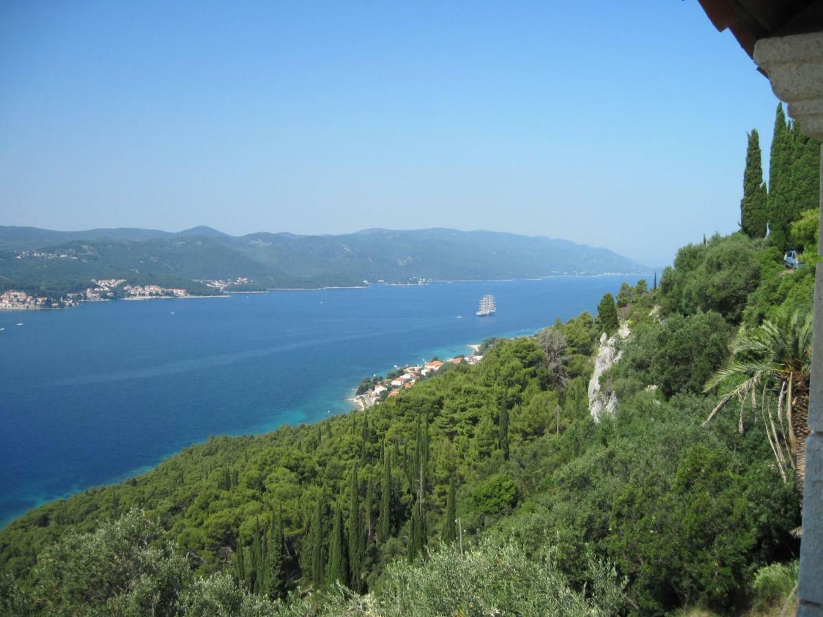 Apartmani Villa Lidija オレビック エクステリア 写真