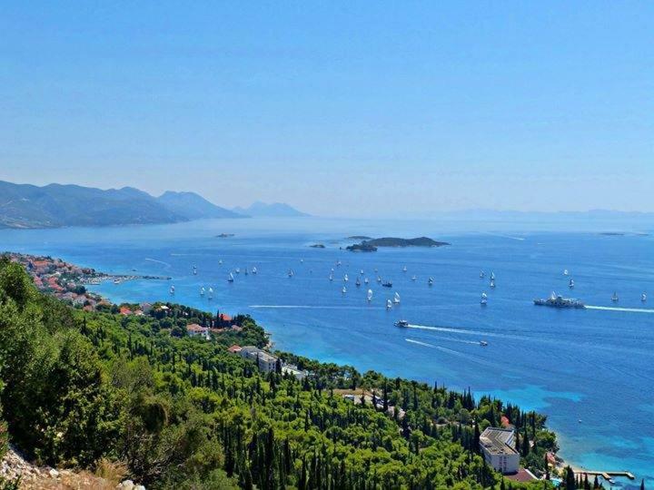Apartmani Villa Lidija オレビック エクステリア 写真