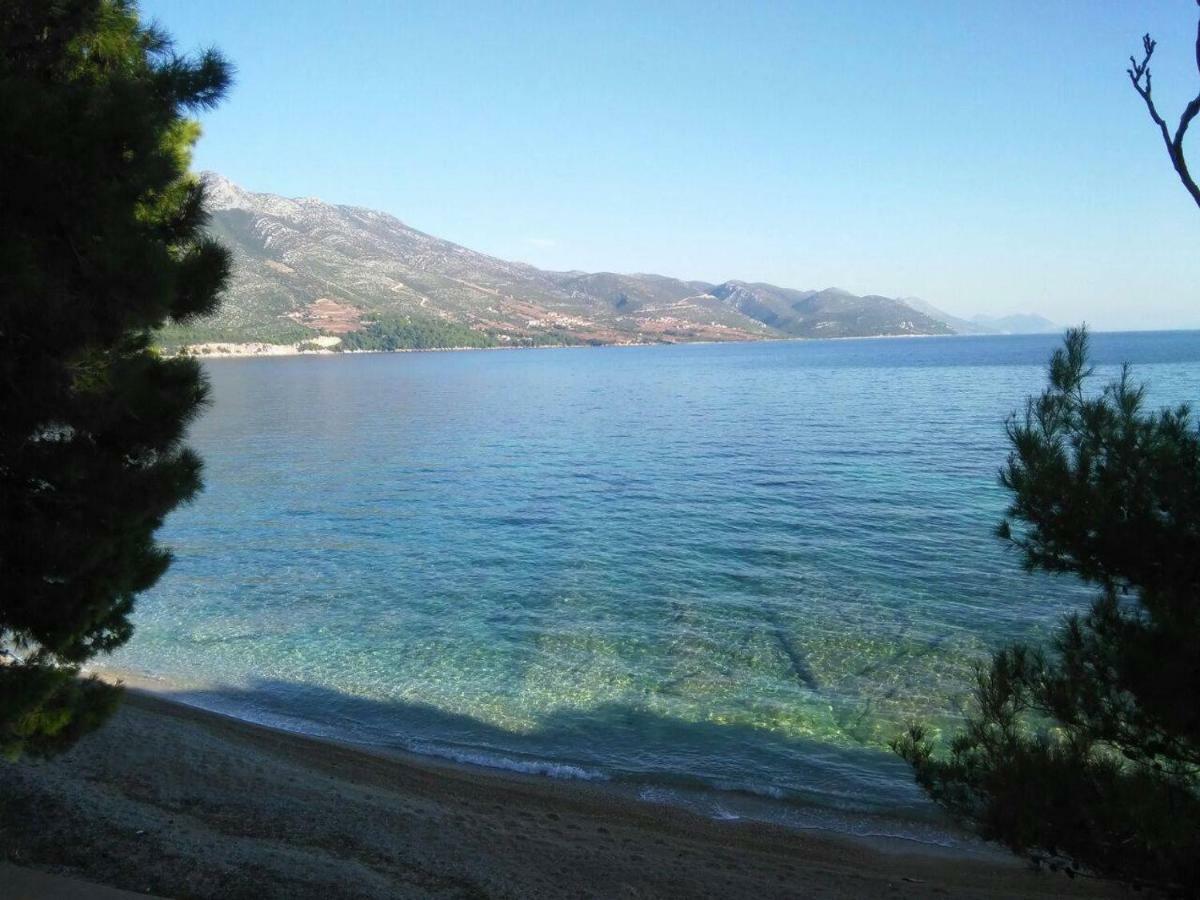Apartmani Villa Lidija オレビック エクステリア 写真